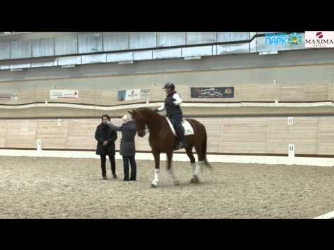 Видео: Семинар по выездке с Рафаэлем Сале в Maxima Stables, 15.02.15 - 2
