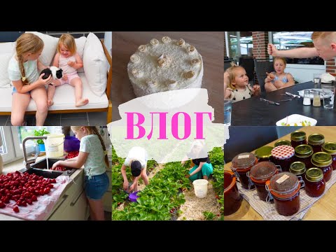 Видео: VLOG🇩🇪: быстрый торт 🍰/ сходили в ресторан/ наварили варенье из клубники 🍓