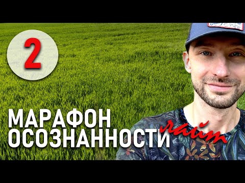 Видео: Марафон Осознанности. 2 - Нравится или нет?