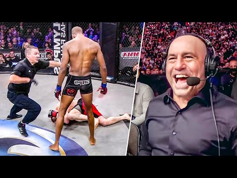 Видео: Шедевры, Которые Вы Пропустили! Топ Безупречных Нокаутов в Bellator