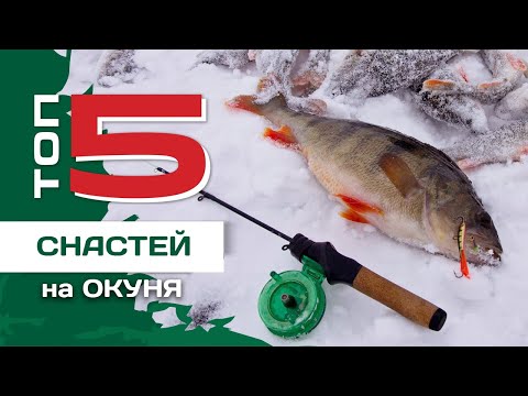 Видео: ТОП 5 снастей на окуня зимой от Федора Андрусенко. Лучшие способы ловли со льда.