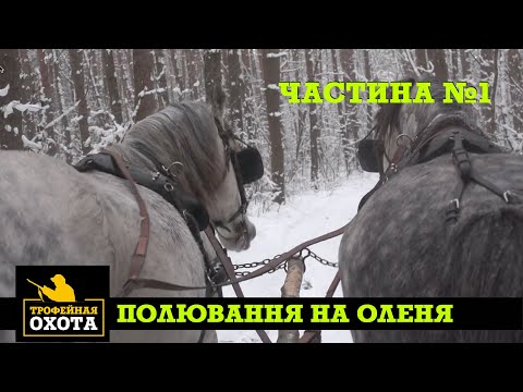 Видео: Полювання на самця Оленя. Част 1 | Трофейне Полювання №65