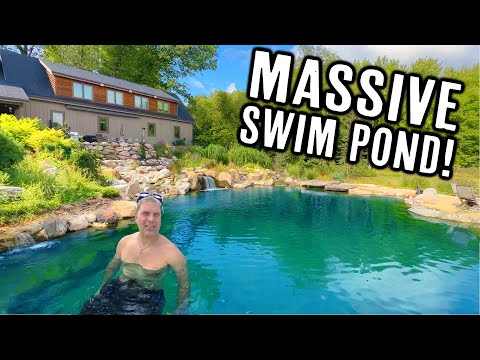 Видео: ПЛАВАНИЕ в БОЛЬШОМ пруду