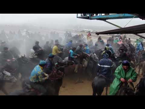 Видео: Ермектің көкпарының өгіз өлді салымы