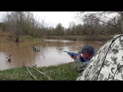 Видео: СРАЗУ 3 СЕЛЕЗНЯ!!! Весенняя охота на утку с чучелами.