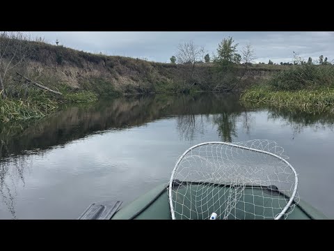 Видео: ОСІННЯ РИБАЛКА НА ГОРИНІ! Ловля щуки в жовтні 2025!