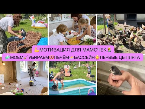 Видео: 💪МОТИВАЦИЯ ДЛЯ МАМОЧЕК🥨ГОТОВИМ🧼УБИРАЕМ🏊‍♂️НАШ БАССЕЙН 🐥ПЕРВЫЕ ЦЫПЛЯТА