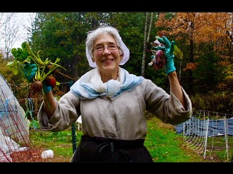 Видео: Свёкла! Сбор и хранение урожая на весь год