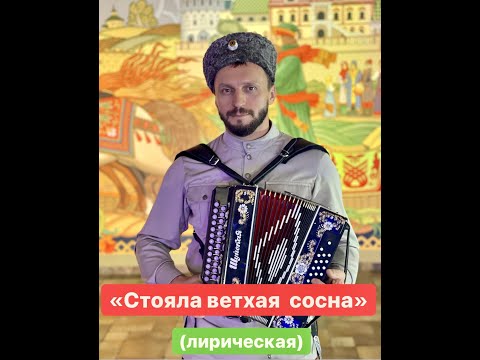 Видео: Виктор Сорокин I «Стояла ветхая сосна» I Лирическая песня