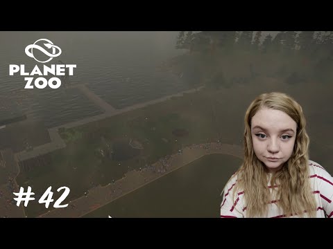 Видео: Новый, но уже успешный зоопарк ➤ Planet Zoo #42