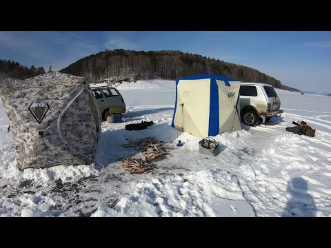 Видео: ЗАБРАЛИСЬ В ЗАЛИВ, ВОКРУГ ТАЙГА!!! КОЛЯН ПОГЛАДИЛ МОНСТРА))) КВХ - ЛЕЩ, ОКУНЬ.