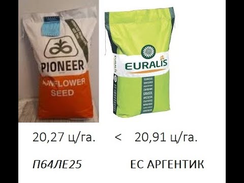 Видео: 2022 LIDEA Уборка П64ЛЕ25 и ЕС АРГЕНТИК , ЕВРАЛИС  БОЛЕЕ УРОЖАЙНЫЙ !!!!Шок или Закономерность