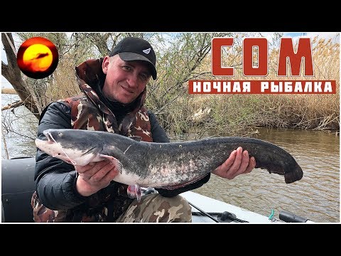 Видео: Сом на фидер / Ночная рыбалка / Ловля сома на реке / Раскаты Волги 2018