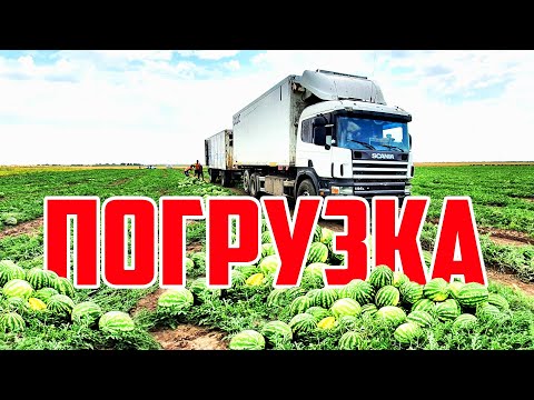 Видео: Погрузка 07 08 20