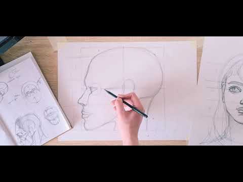 Видео: Голова человека в профиль