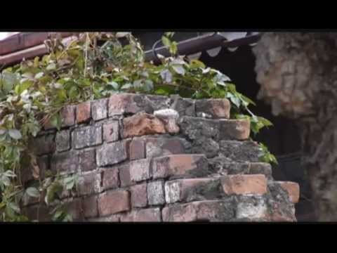 Видео: Улицы столицы — ул. Чехова