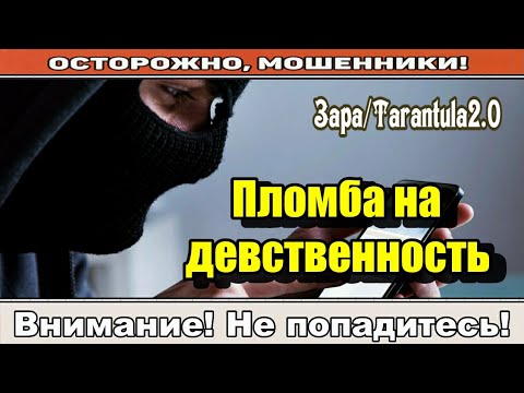 Видео: Мошенники звонят по телефону / Всё или ничего ( сборник ).