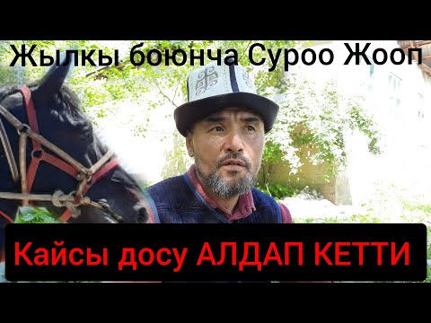 Видео: Саяпкерди ДОСУ сыздатып алдап кетти😱 АТ БОЮНЧА СУРОО ЖООП БОЛДУ