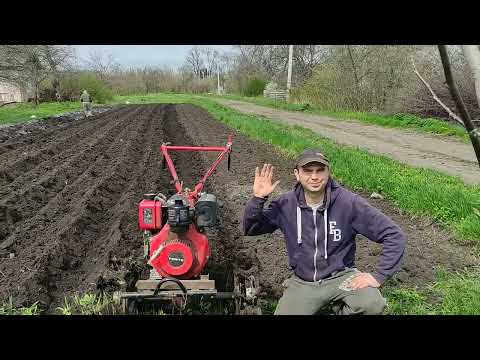 Видео: Посадка картофеля в Апреле 19 04 2023