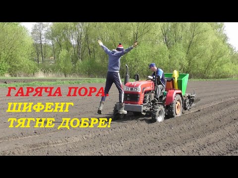 Видео: Садимо картоплю після фрези та плуга. Без ремонту не обійшлося. Шифенг240.