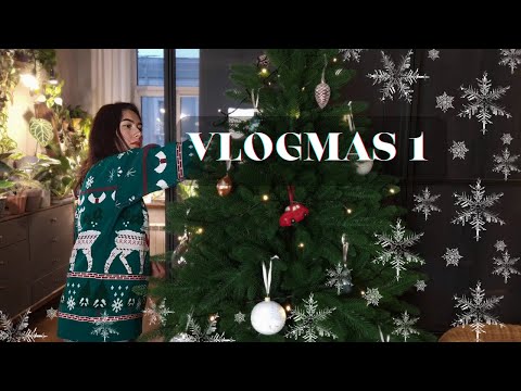 Видео: Наряжаю ЁЛКУ | пересаживаю АЛОКАЗИИ из мха в кокосовый субстрат | vlogmas 1🎄