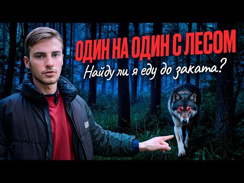 Видео: ОДИН НА ОДИН С ЛЕСОМ: Найду ли я еду до заката ? 
