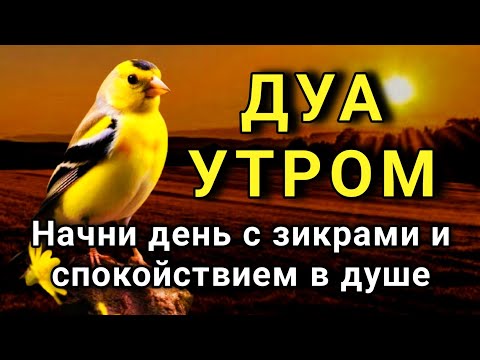 Видео: СИЛЬНЕЙШЕЕ ДУА УТРОМ ОТ ВСЕХ БЕД 🔑✨🤲💯