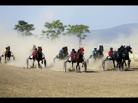 Видео: Рисисти коне „летяха“ по терен на бившето летище „Бършен“,  VI състезателен ден от календара на БАРК