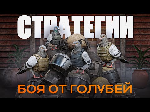 Видео: Стратегии боя от "Голубей" | Ломаем мету Arena Breakout