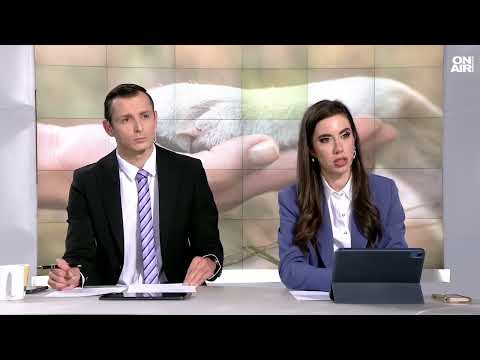 Видео: Явор Гечев за прегазилия куче Ненад Цоневски: Абсолютно безчувствен и безсърдечен лекар