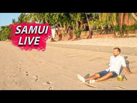 Видео: Самуи Live // Что нового? // Визы, штампы // Ответы на ваши вопросы