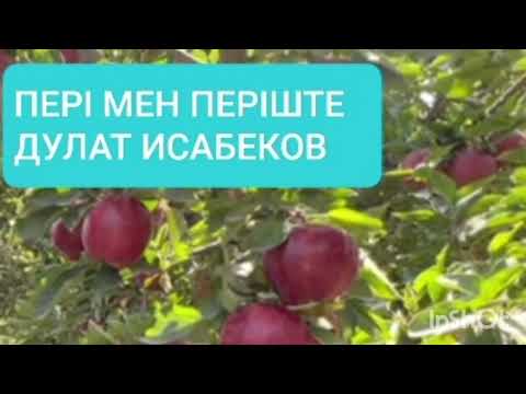 Видео: ПЕРІ МЕН ПЕРІШТЕ 2-ші бөлім | ДУЛАТ ИСАБЕКОВ |ПОВЕСТЬ