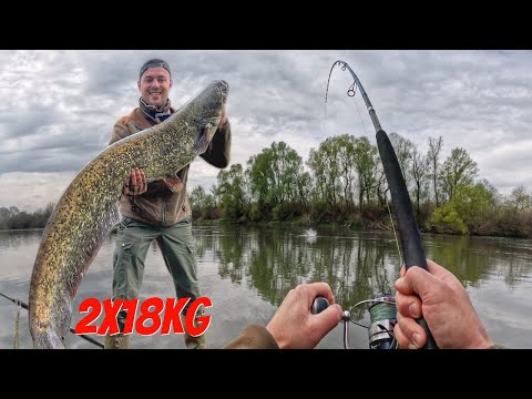 Видео: 🐟Риболов на Сом на р.Марица / Какво има в кутията за сом? 🐟