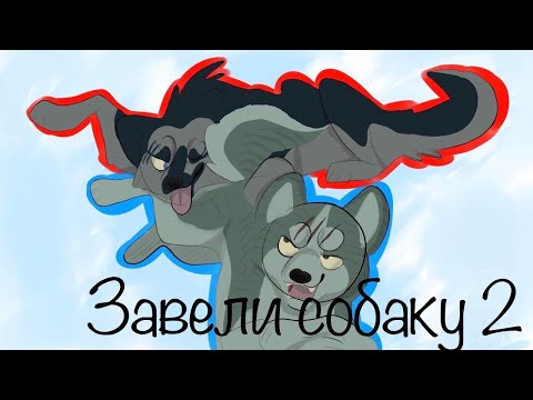Видео: Короче говоря: мы решили дрессировать собаку.