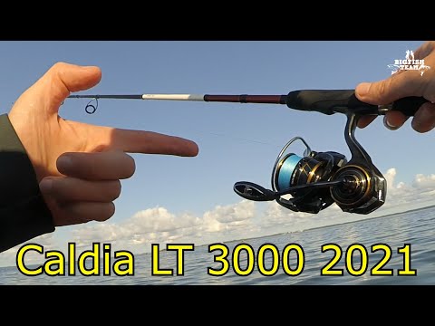 Видео: Катушка Daiwa Caldia LT 3000 2021. Обзор и проверка судаком)