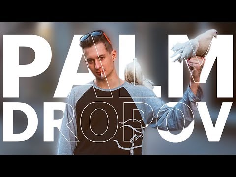 Видео: ВСЕ РАУНДЫ PALMDROPOV`A (ПАЛМДРОПОВА) НА VERSUS: FRESH BLOOD 4