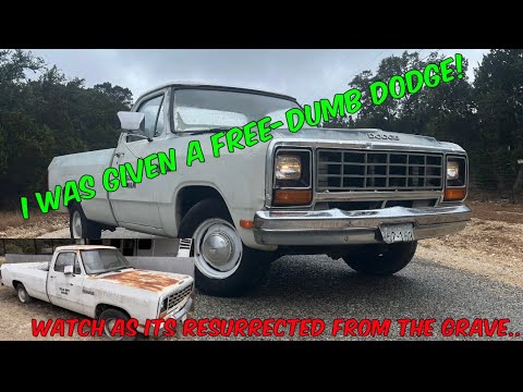 Видео: БЕСПЛАТНО! Спасение и возрождение Dumb Dodge!