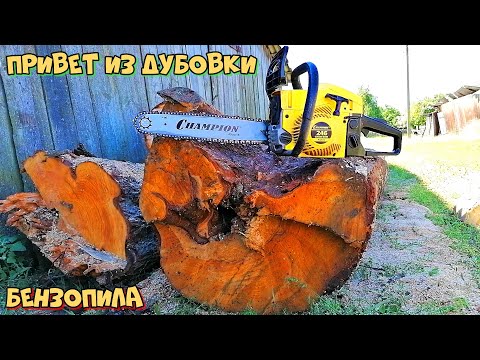 Видео: Испытание бензопилы Champion 246