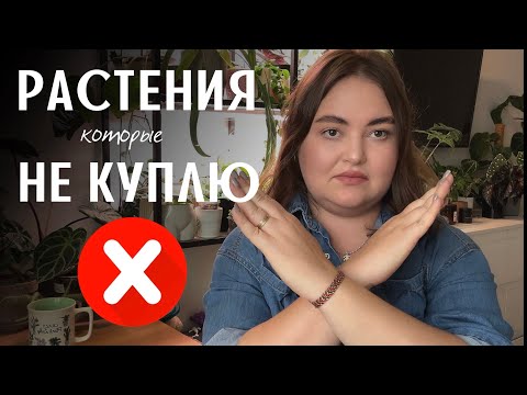 Видео: НИКОГДА НЕ КУПЛЮ эти РАСТЕНИЯ | цветочный АНТИВИШЛИСТ
