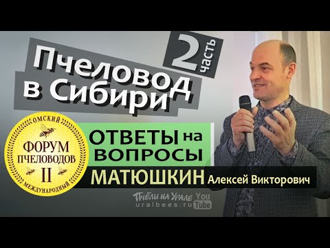 Видео: ОТВЕТЫ НА ВОПРОСЫ ПЧЕЛОВОДОВ #2 Матюшкин Алексей Пчеловодство в Сибири Пасека в тайге Форум Омск
