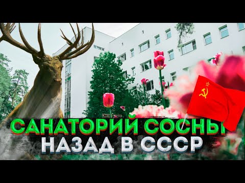 Видео: «Сосны»: МАШИНА ВРЕМЕНИ в архитектурное наследие СССР в 20 км от Москвы