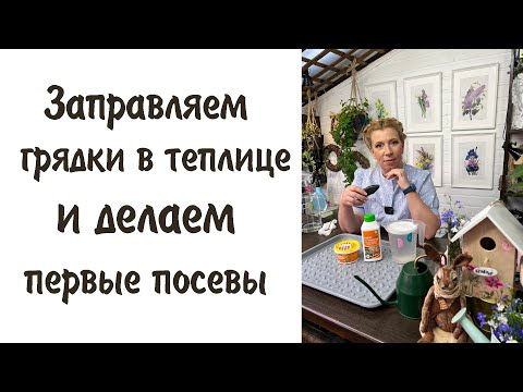 Видео: Заправляем грядки в теплице и делаем первые посевы