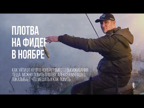 Видео: Как ловить плотву в ноябре на фидер