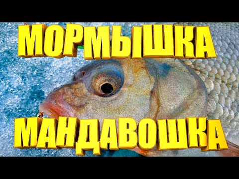 Видео: Без этой снасти на рыбалку не хожу. Самодельная Мормышка Мандавошка выручает ВСЕГДА ПРОВЕРЕНО ...