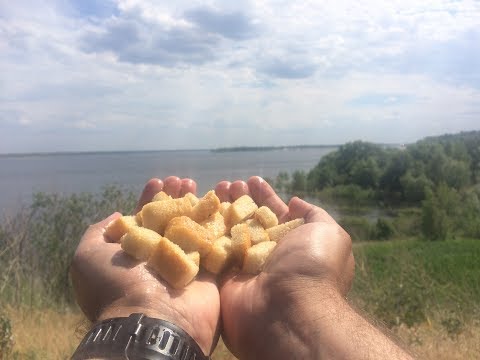 Видео: Ловля на Хлеб. Наживка для Рыбалки. Хлебная Корочка Рецепт. Готовим Супер Уловистую Насадку