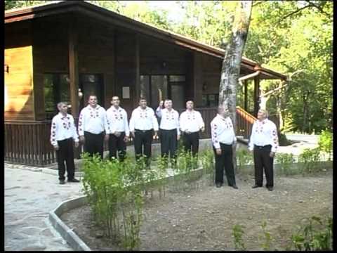 Видео: МФГ Божур гр. Средец- Поял бе Тодор