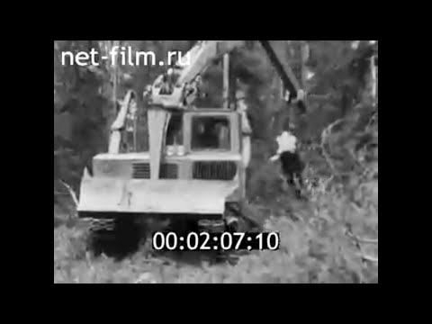 Видео: 1973г. Суккозеро. леспромхоз. Карелия.