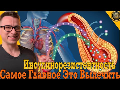 Видео: Самое главное – это вылечить ИНСУЛИНОРЕЗИСТЕНТНОСТЬ