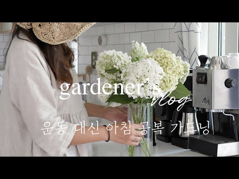 Видео: Я работаю ту в саду, а не в тренажерном зале! Контроль вредителей с помощью Неемного масла /