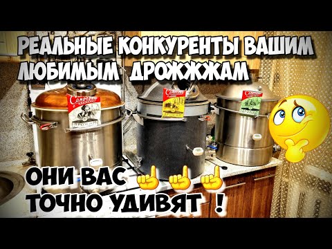 Видео: Мало кто знает эти БЮДЖЕТНЫЕ дрожжи , а ведь они дадут фору многим топовым Элитам )))